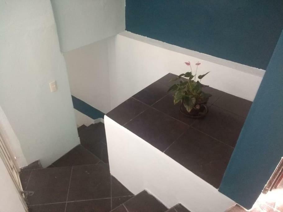 Casa Habitacion Guanajuato Exteriör bild